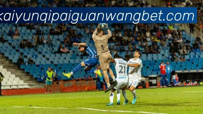 开云棋牌平台生态图