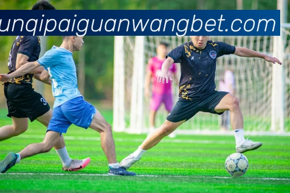 数据防护可视化